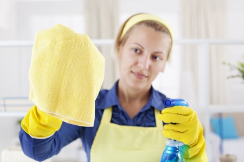 Professional cleaner completing a safe Soho carpet cleaning service