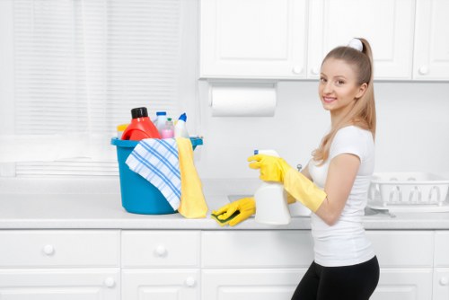 Specialist upholstery cleaning service for Soho homes and businesses