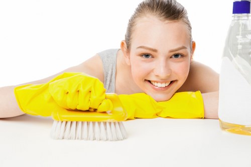 Bathroom deep cleaning as part of domestic cleaning in Soho