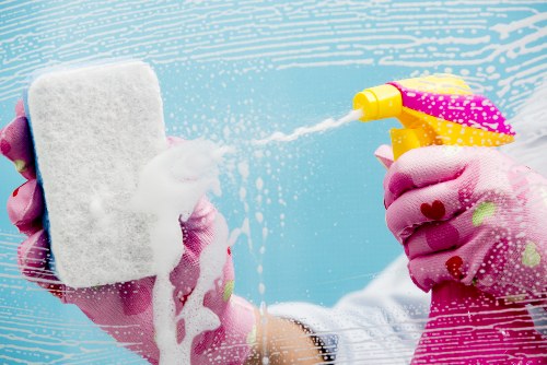 Detailing room-by-room carpet cleaning plans