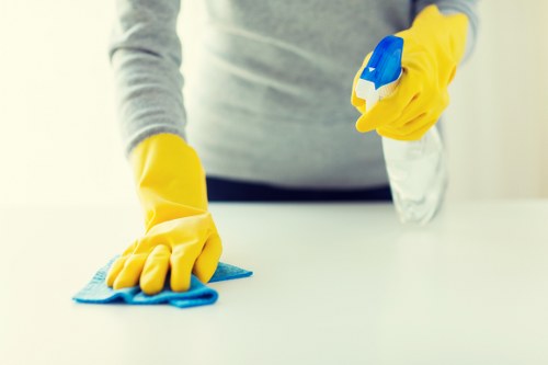 Domestic cleaner in Soho keeping a modern apartment fresh