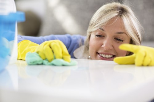 Risk assessment review before starting carpet cleaning work