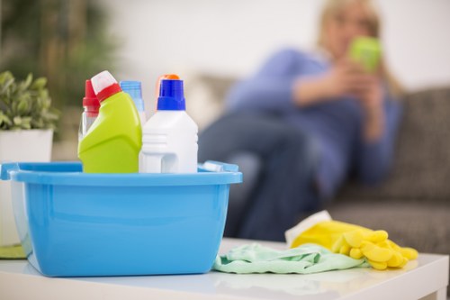 Related carpet and upholstery cleaning services